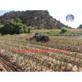 Factory Supply Professional Garlic Harvester for 4 Wheel Tractor