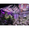 VEG FLOR LED COB LUZ