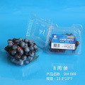 Biodegradable Plastic Eco-Friendly Fresh Fruit Container with Label