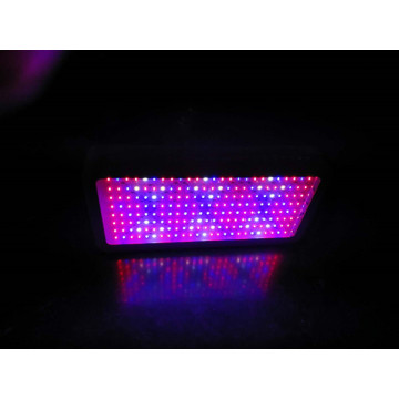 Dual Chip 1500W2000W Led Grow Light Full Spectrum