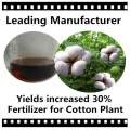 Special Fertilizer for Cotton Plant