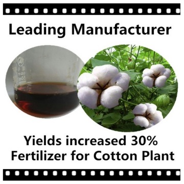 Fertilizantes especiais para plantas de algodão