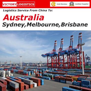 FCL &amp; LCL Ocean Shipping Von China nach Sydney / Melbourne / Brisbane, Australien