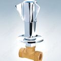 Brass Valve With Zinc Flange And Knob