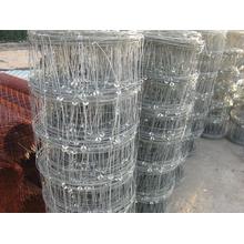 Good Quality Field Fence Cattle Fence