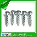 Tornillo Torx de Cabeza Plana con Zinc plateado con Logo