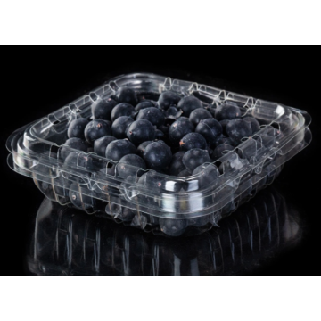 PET Plastic Fruit Clamshell/Punnet for Blueberries