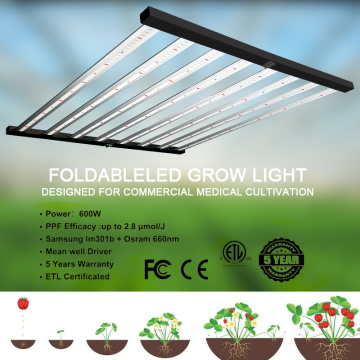 Best Grow Light for Indoor Greenhouses