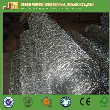 3/4" Mesh Chicken Wire Netting with Good Quality