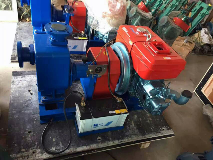 Diesel Oil Pump