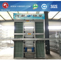 Automatic Bird Broiler Chicken Cage for Sale