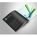 Cmyk Offset Printing Brochure personnalisée Brochure Catalogue Impression