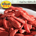 Medlar Chinese Wolfberry Organic Goji Berry