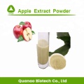 Freeze Dried Red Apple Juice Powder Food Additives