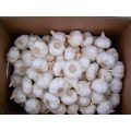 Jinxiang 4-5CM White Garlic For Sale