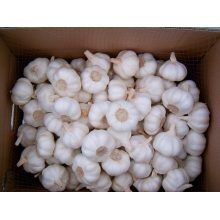 Jinxiang 4-5 CM weiß Knoblauch zum Verkauf