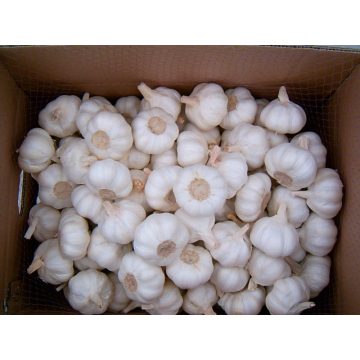 Jinxiang 4-5CM White Garlic For Sale