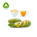 Fruit juice Powder Papaya Extract