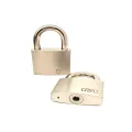 Access Control Unlock Record Stainless Steel Smart Padlock