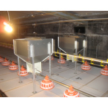 Automatic Chicken Feeding Equipments