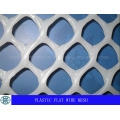 Plastic Flat Wire Mesh for Agriculture Breeding