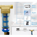 Filtros de água de água de sedimentos inteiros