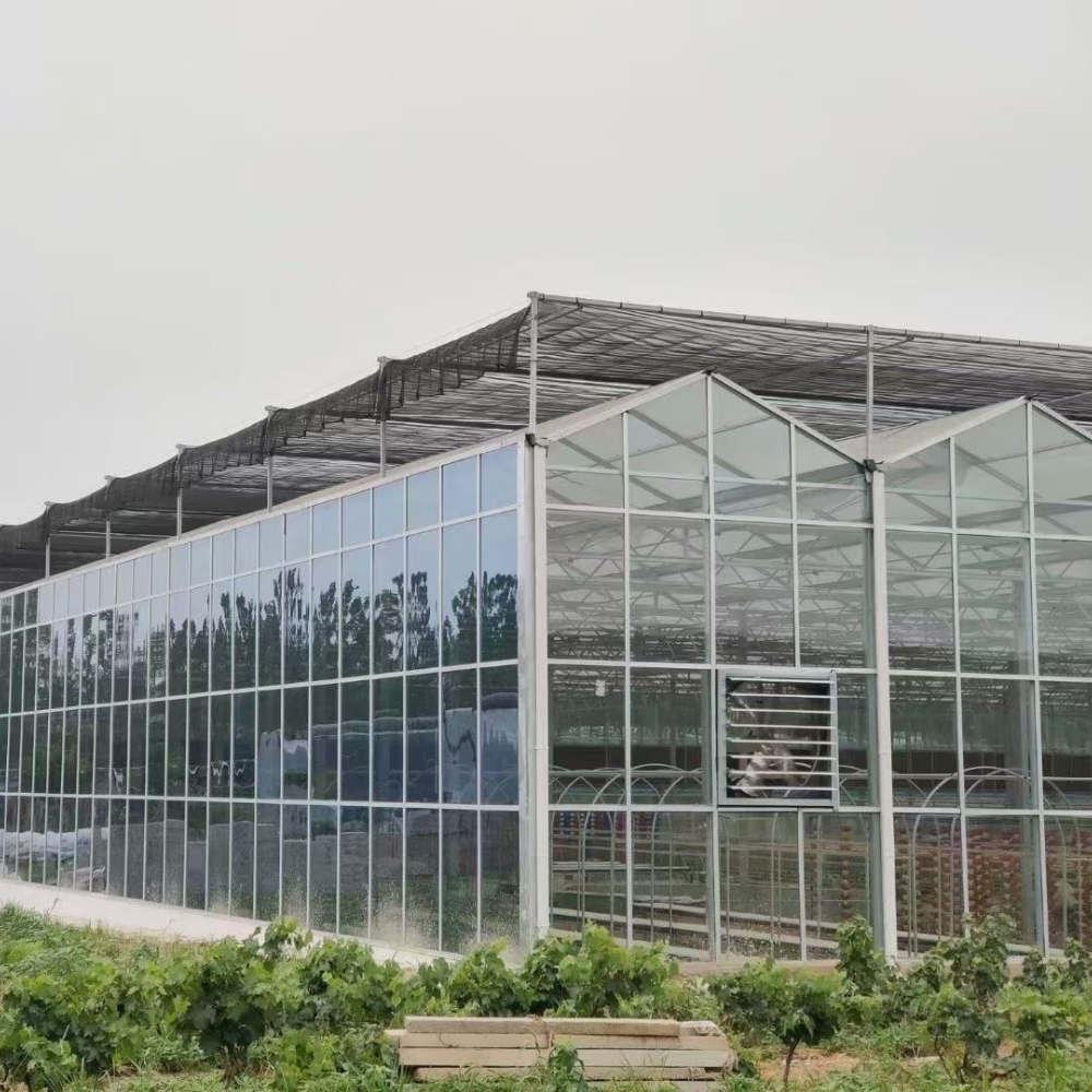 Venlo Glass Greenhouse Venlo Glass Greenhouse