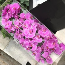 Professional Manufacturer Rectangular Acrylic Rose Box Luxury for Sale