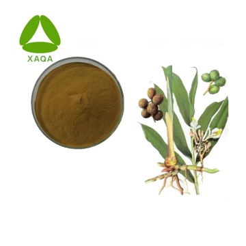 10:1 Amomum Villosum Extract Powder