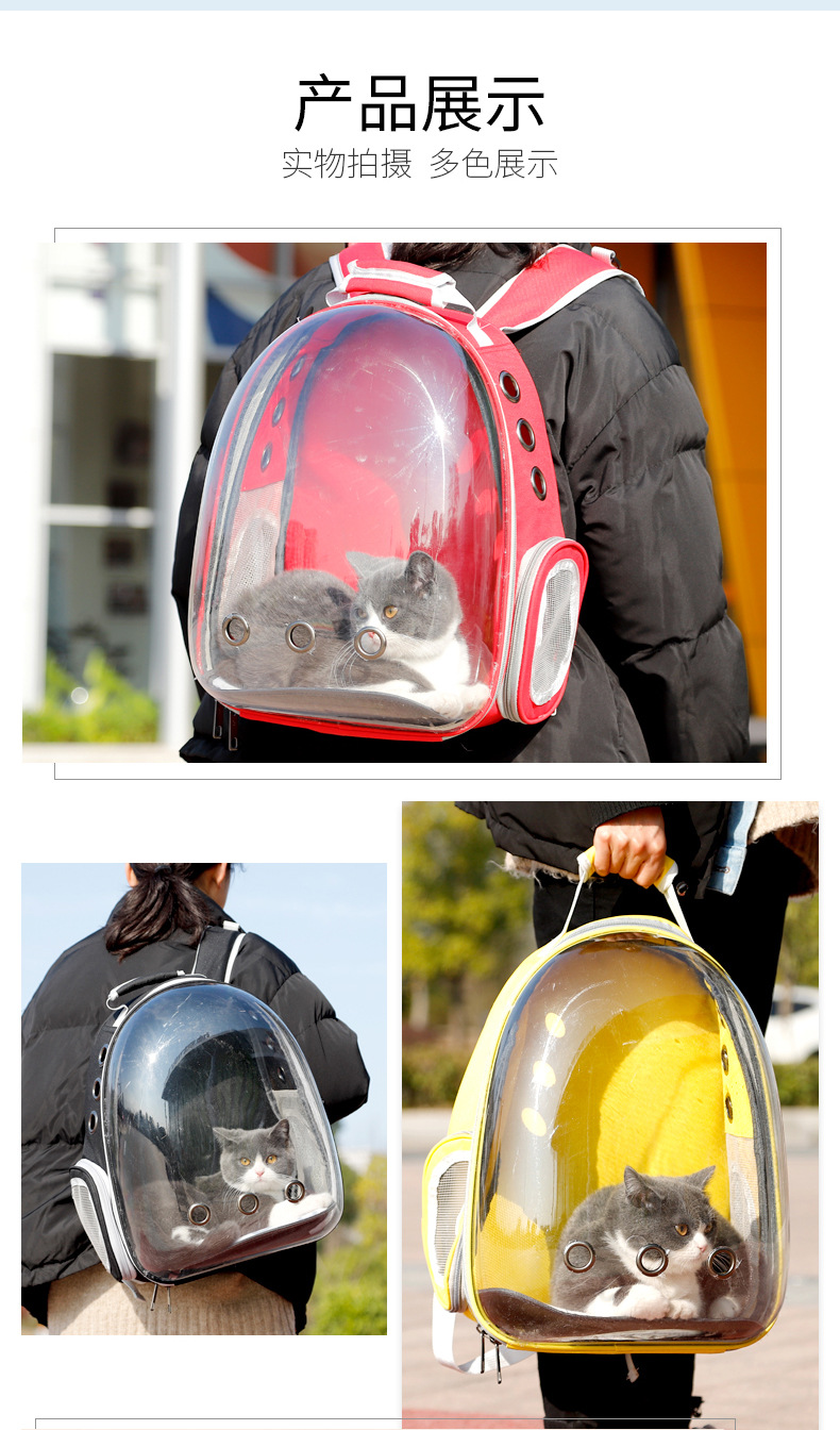 Pet Panorama Transparent Capsule Out Backpack Cat Backpack15