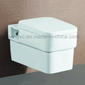 China Manufacturer Wall-Hung Toilet Bathroom Fittings Manufacturer