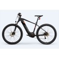 Customized 500 Watt Electric Bike