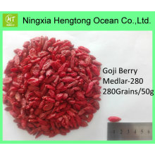 Superfruit Goji Berry chino de primera calidad secos Goji negro Berry