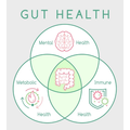 Organic Fructooligosaccharides FOS powder gut microbiota