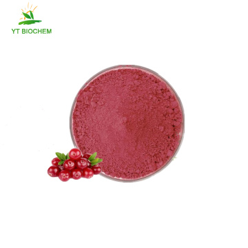 Bio-Extrakt-Cranberry-Pulver zum Abnehmen