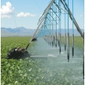 Lateral Move Irrigation System with End Sprayer