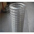 Stainless steel welded wire mesh panel for construction