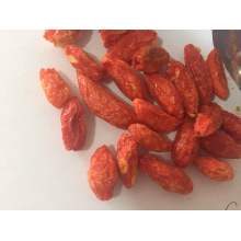 Baía de Goji Gelose-seca de Ningxia (Wolfberry)