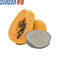 Food grade enzyme papain powder from papaya