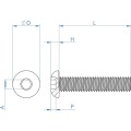 Factory Price Custom stainless steel 0.05mm screw