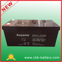 Nuevo producto 200ah de alta calidad 12V Np200-12 recargable de la batería