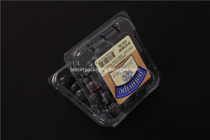 Plastic Blueberry Box