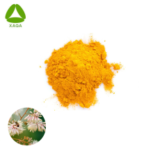 Natural ISO9001 Hot Sale Macleaya Cordata Extract Powder