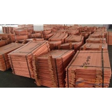 99.99 Pure/Pure Cathode Copper/Copper Cathodes Price for Sale