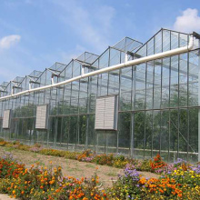 Skyplant Commercia Venlo Type Glass Greenhouse