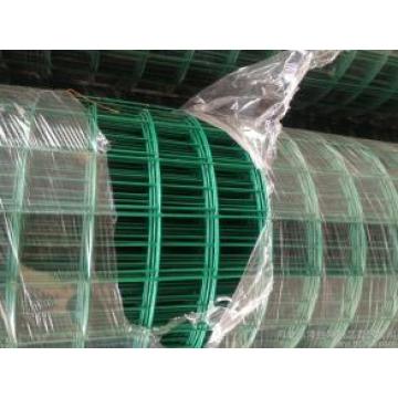 50 * 50mm PVC revêtement Holland treillis métallique pour le bâtiment