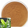 Free Sample Natural Plant Extract Tribulus Terrestris Extract (99%)