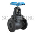 Globe Valve Flange End