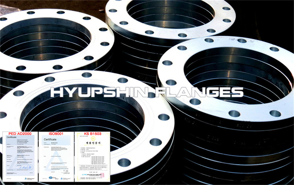 Hyupshin Flansche Plattenflansche Hyupshin Flanges Plate Flanges