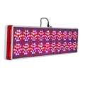 La lumière menée AC100-240V Apollo 20 LED élèvent la lumière